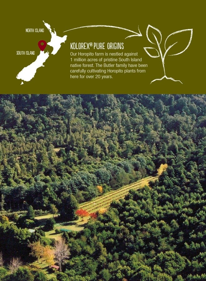 كولوريكس كولوركس للعناية بالأمعاء وتوازن الكانديدا (علاج متقدم للكانديدا) 60 قرصًا - Image 4